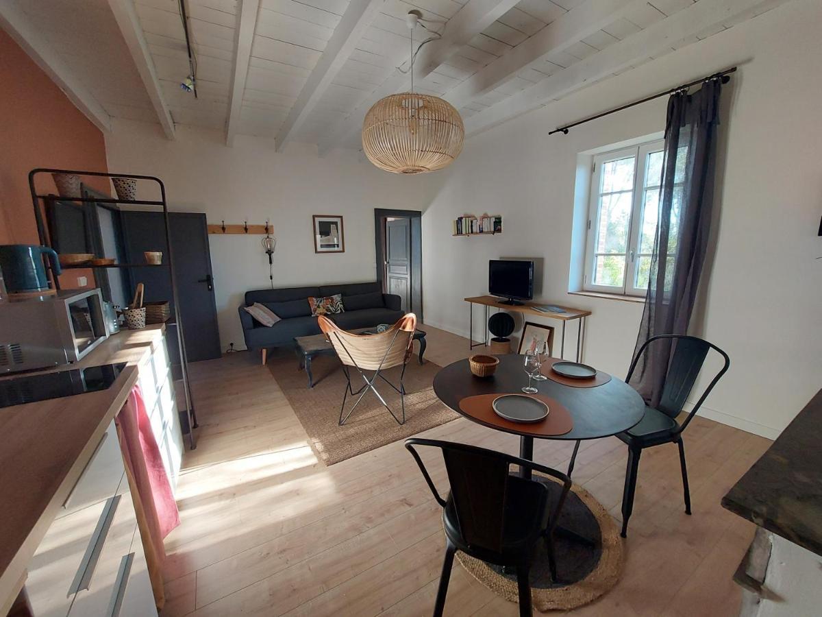 Marssac-sur-Tarn 16 Bis-Gite-Hotel-Appartement מראה חיצוני תמונה